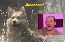 дыа.jpg