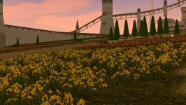 Screenshot_6.jpg