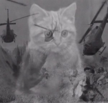 1789736188418.png