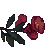 44pomegranateki.gif