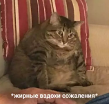 1791500797062.png