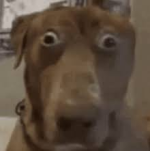 1791929497085.png