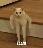 1793357190300.png