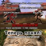 перебежал.jpg