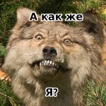 а как же я.jpg