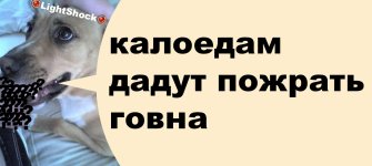 вопрос_с_подвохом.jpg