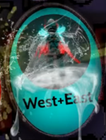west licemer.png west licemer.png