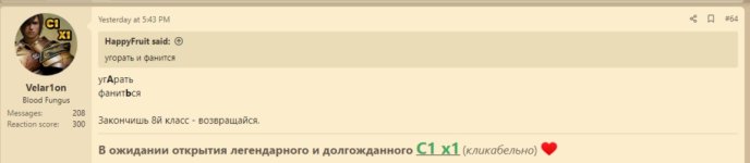 231.jpg