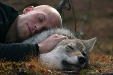 wolf.jpg