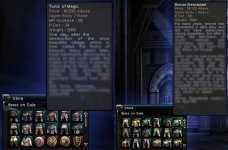 items.png