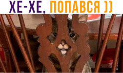 1724408075965.png