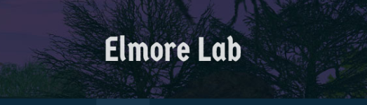 1724961878396.png