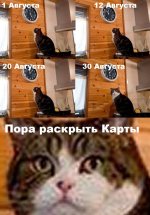 07e81082abea94e9a5359ef83c6892d4.jpg
