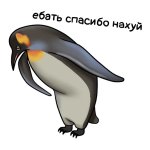 1725106383881.jpeg