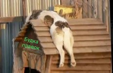IMG_20240918_131120.jpg