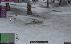 IMG_0861.jpeg