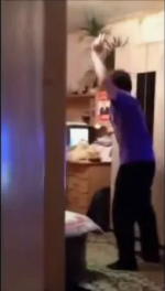 1727695795182.png