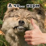а чо норм.jpg