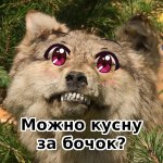 кусну за бочок.jpg