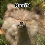 nani2.jpg
