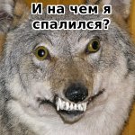 И на чем я спалился.jpg