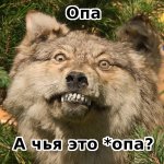Опа.jpg