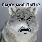гыде.jpg