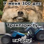 300.jpg