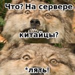 китайцы.jpg
