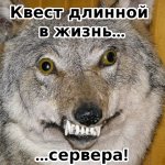 квест.jpg