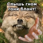 Слышь гном.jpg