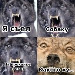 съел собаку.jpg