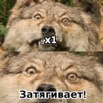 затягивает.jpg