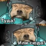 туда или сюда.jpg