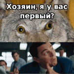я первый.gif