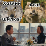 хозяин шилка.gif