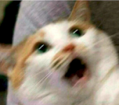 1728318006369.png