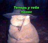 5203991867614685168.jpg