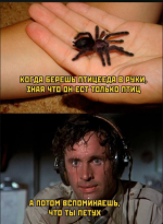 1729891238582.png