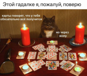 1730453026119.png