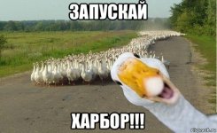 risovach.ru.jpg