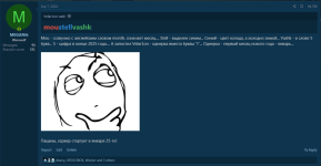 111.png