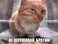 9b0p88.jpg