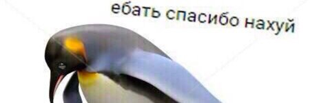 77506.jpg