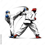 Taekwondo