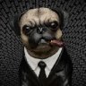 MiB