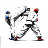 Taekwondo